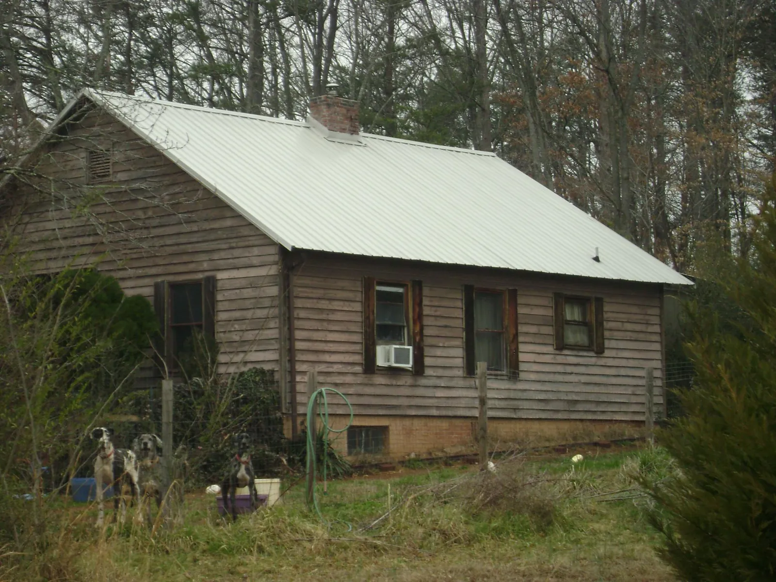 White metal roof on an old wood sided farmhouse, from a Asphalt Shingle Roof Repair job in Eau Claire